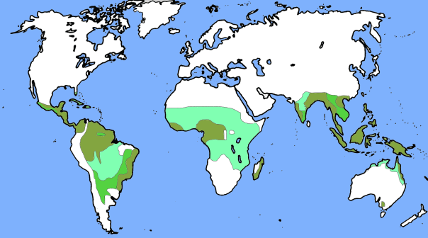Ausdehnung der tropischen und subtropischen Wälder
